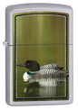 Zippo Souvenir Lighter Loon (Chrome)