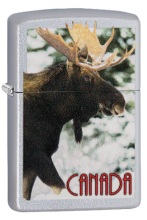 Zippo Souvenir Canada Moose (Chrome)